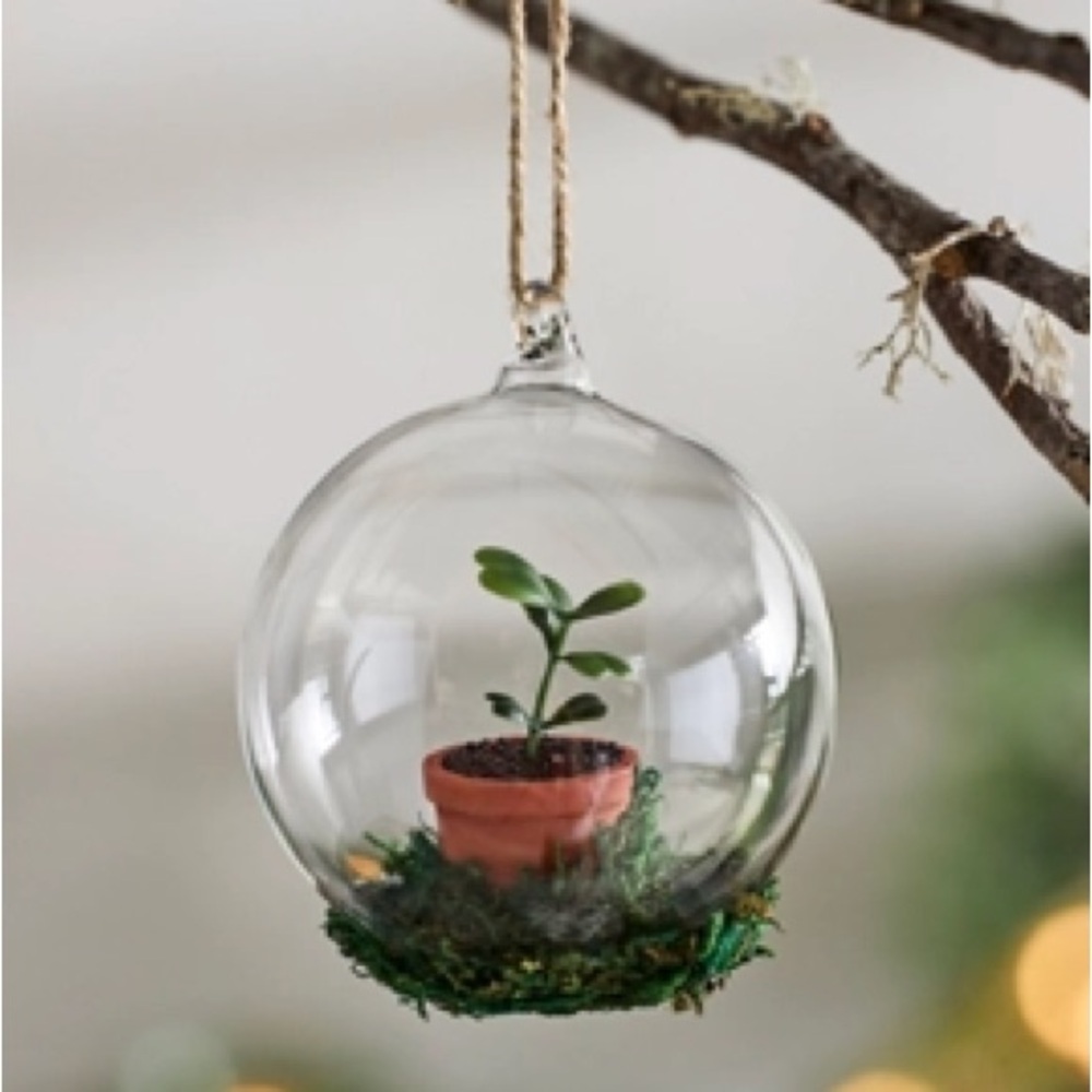 Anthropologie Terrain Glass Hanging Terrarium with Green Plant New Plant 🪴 🌲